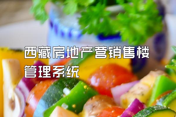 西藏房地产营销售楼管理系统
