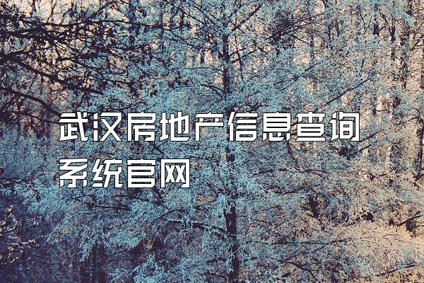 武汉房地产信息查询系统官网