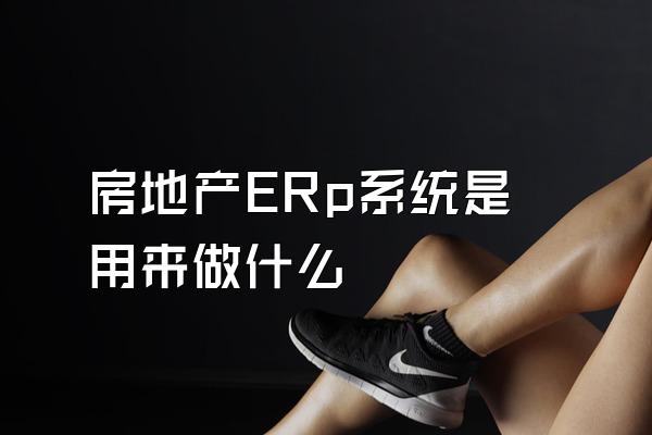 房地产ERp系统是用来做什么