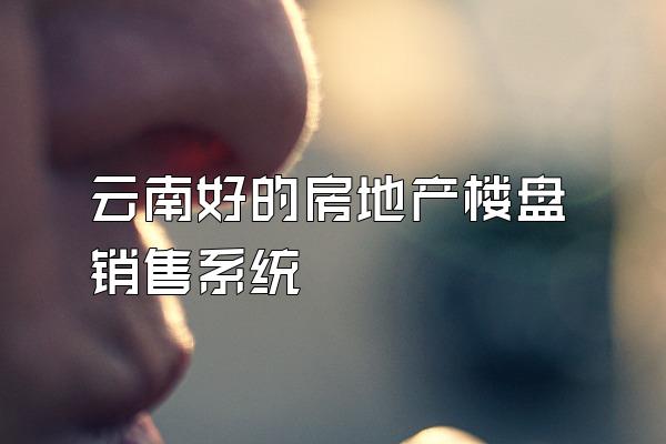 云南好的房地产楼盘销售系统