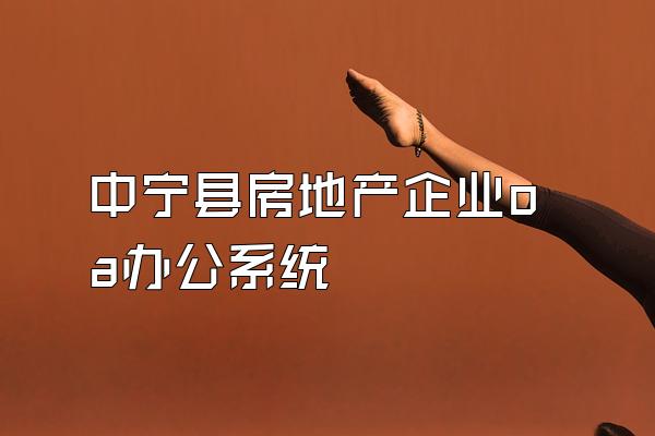 中宁县房地产企业oa办公系统
