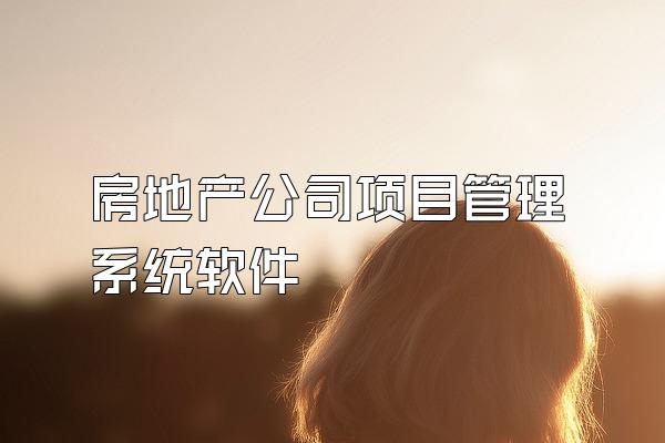 房地产公司项目管理系统软件