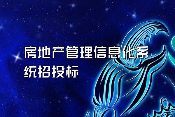 房地产管理信息化系统招投标