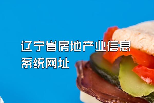 辽宁省房地产业信息系统网址