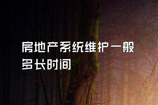 房地产系统维护一般多长时间