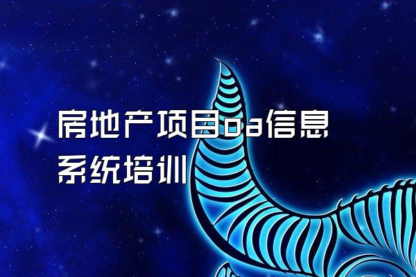 房地产项目oa信息系统培训