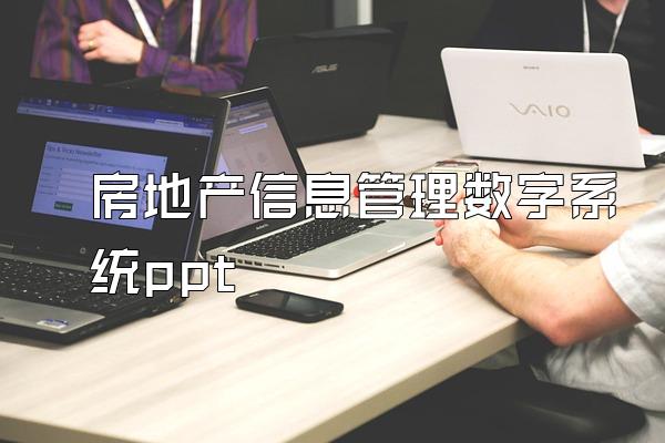 房地产信息管理数字系统ppt